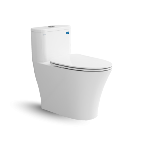 Bàn cầu một khối V829