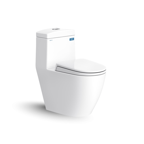 Bàn cầu một khối V199