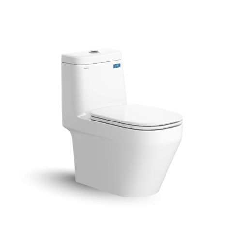 Bàn cầu một khối V68