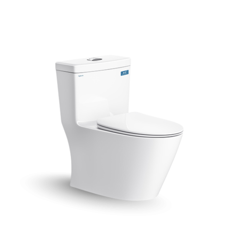 Bàn cầu một khối V62