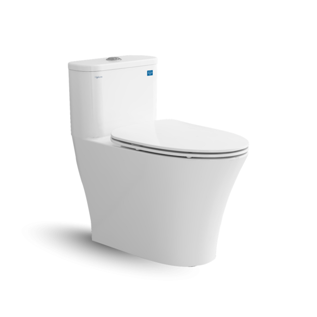 Bàn cầu một khối V829