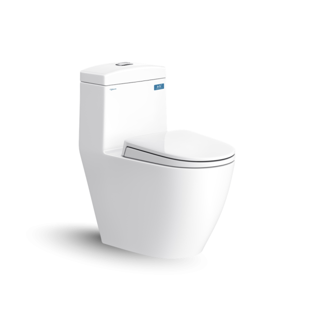 Bàn cầu một khối V199