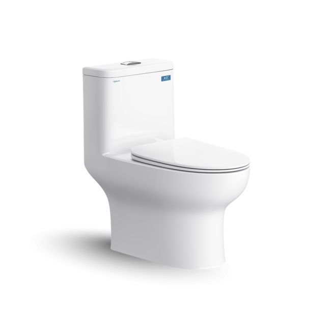 Bàn cầu một khối V64