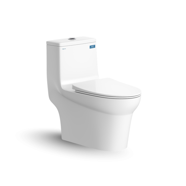 Bàn cầu một khối V65