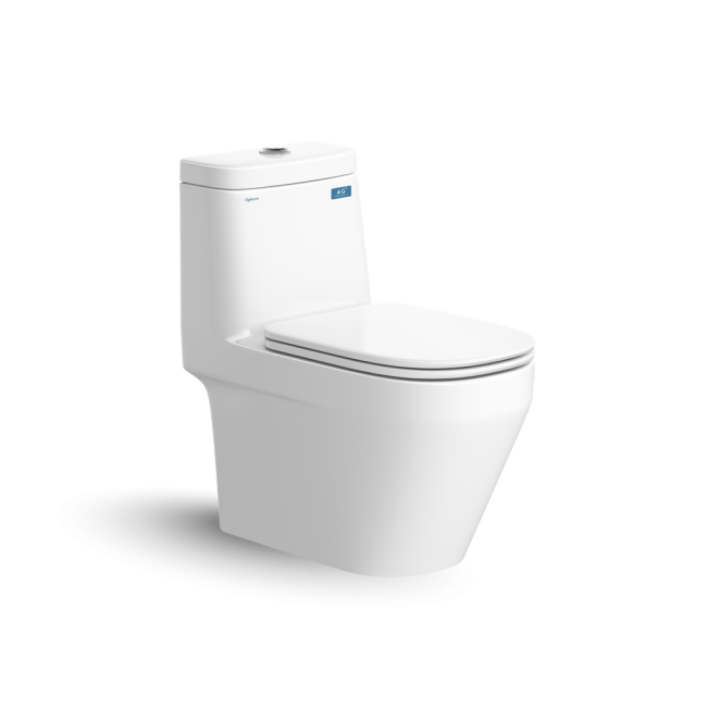 Bàn cầu một khối V68
