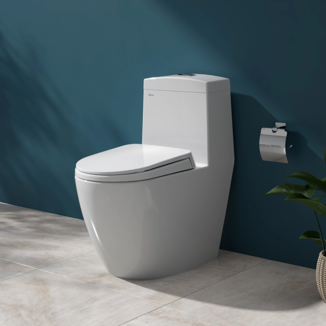 Bàn cầu một khối V199