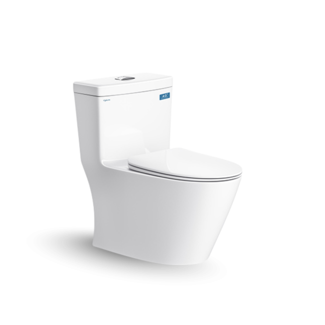Bàn cầu một khối V62