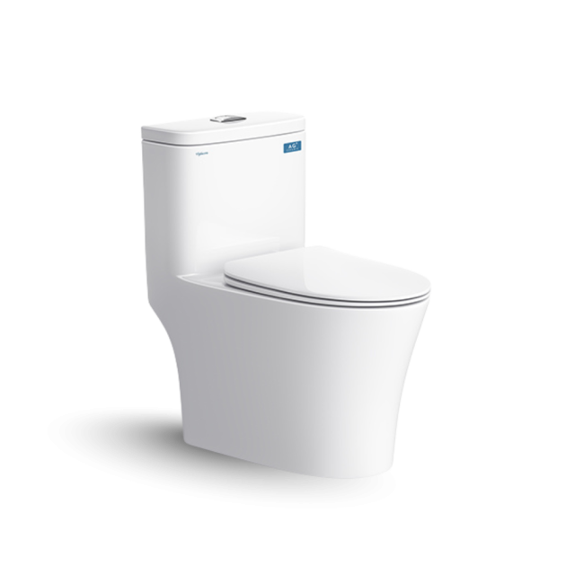 Bàn cầu một khối V63