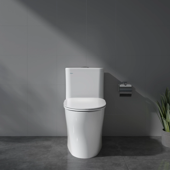 Bàn cầu một khối V63