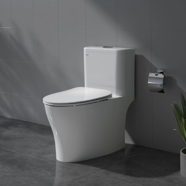 Bàn cầu một khối V63