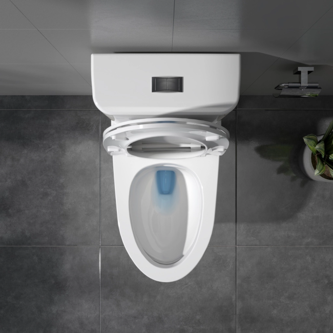 Bàn cầu một khối V63