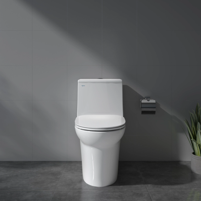 Bàn cầu một khối V65
