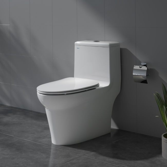 Bàn cầu một khối V65