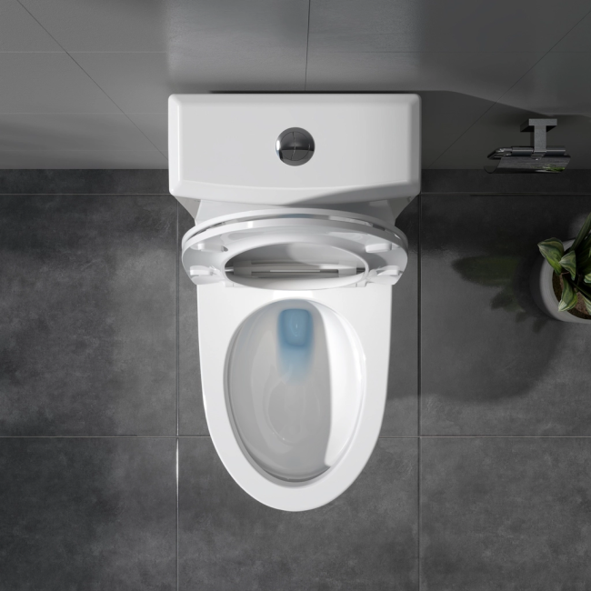 Bàn cầu một khối V65